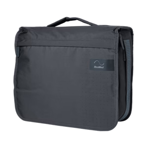 AirSense 10 AutoSet with P10 Nasal Pillow Mask Bundle