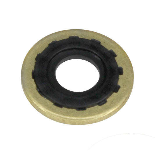 Brass Washer with Rubber Ring